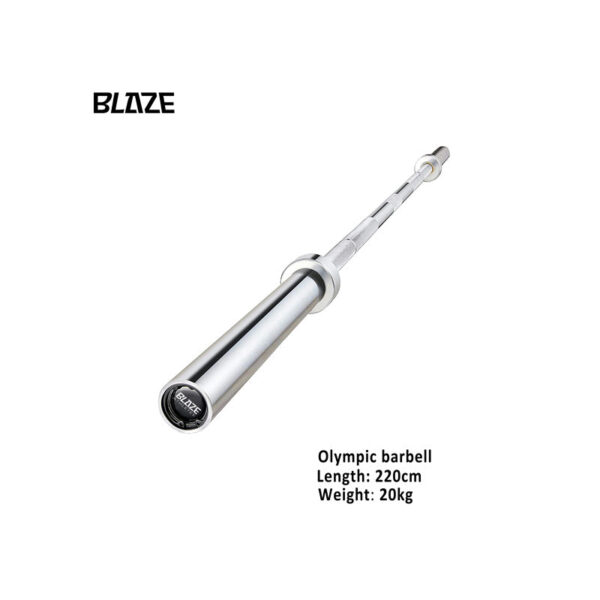 20KG Hybrid Standard Barbell