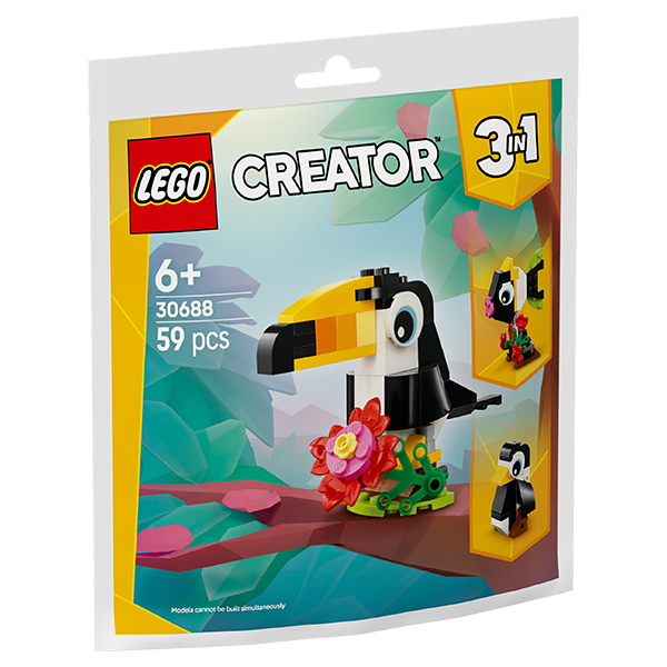 Tropical Toucan#30688