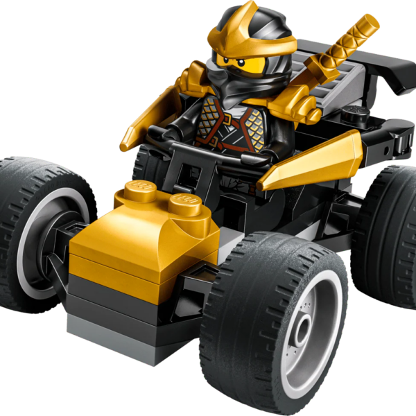 Ninja Cole'S Car
