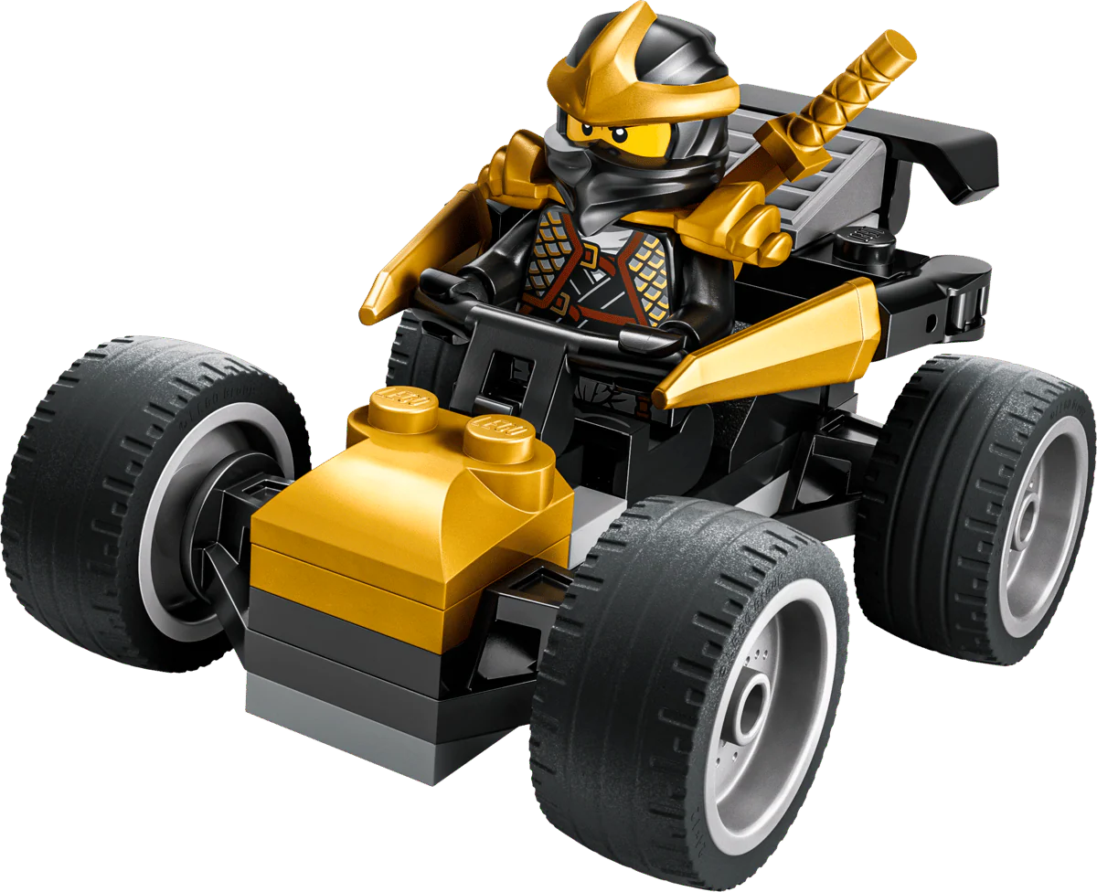 5702018058077_057014df-470a-4bc2-be09-894dec3d787a Ninja Cole'S Car