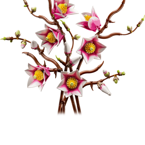 Magnolia Branches