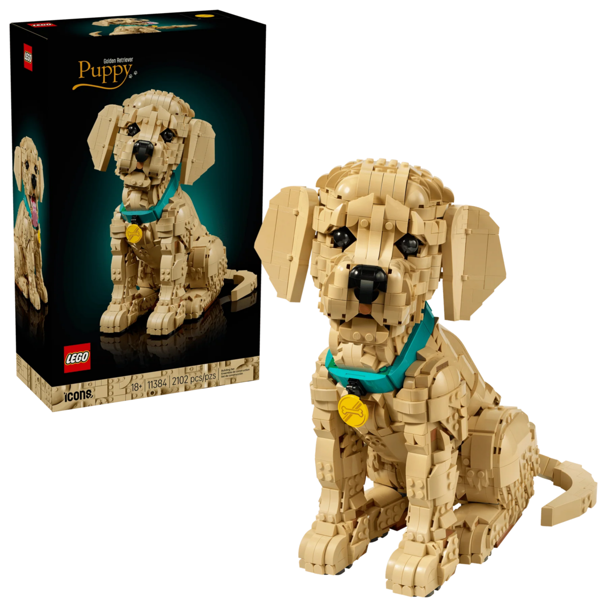 5702018063651_33ec40c6-ca35-4724-be66-0ec9b266d851 Golden Retriever Puppy