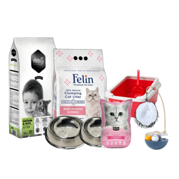 Kitten Starter Bundle