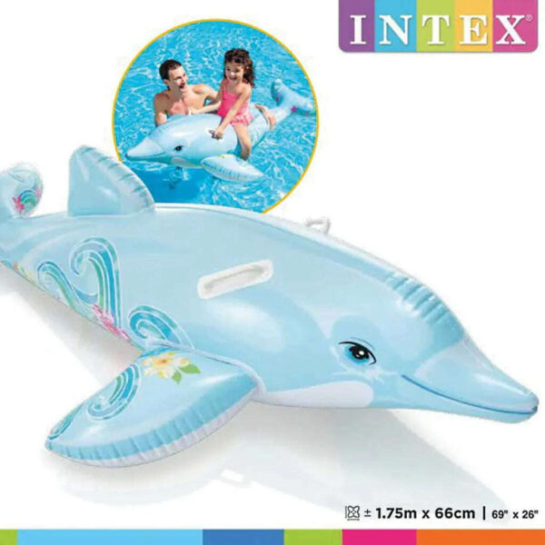 Lil Dolphin Pool Floater