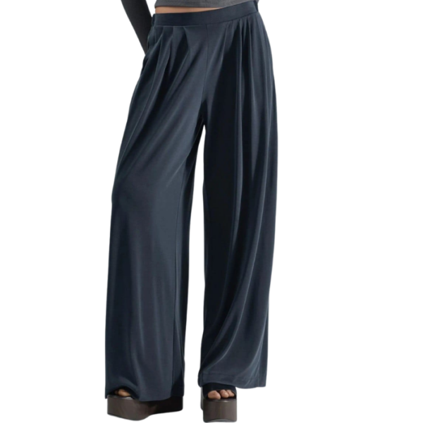 Twirl Navy Pant