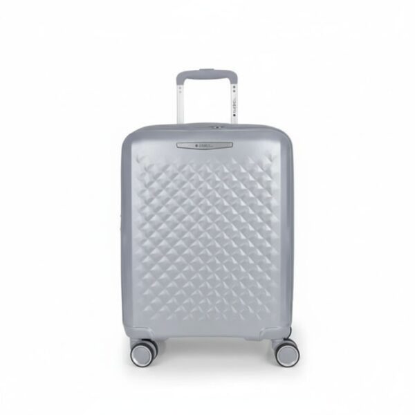 Travel Trolley Luggage Bag Small Silver Queens 40X54X22Cm 47.9L#125001/125022-022