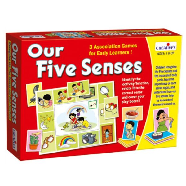 Our Five Senses #264