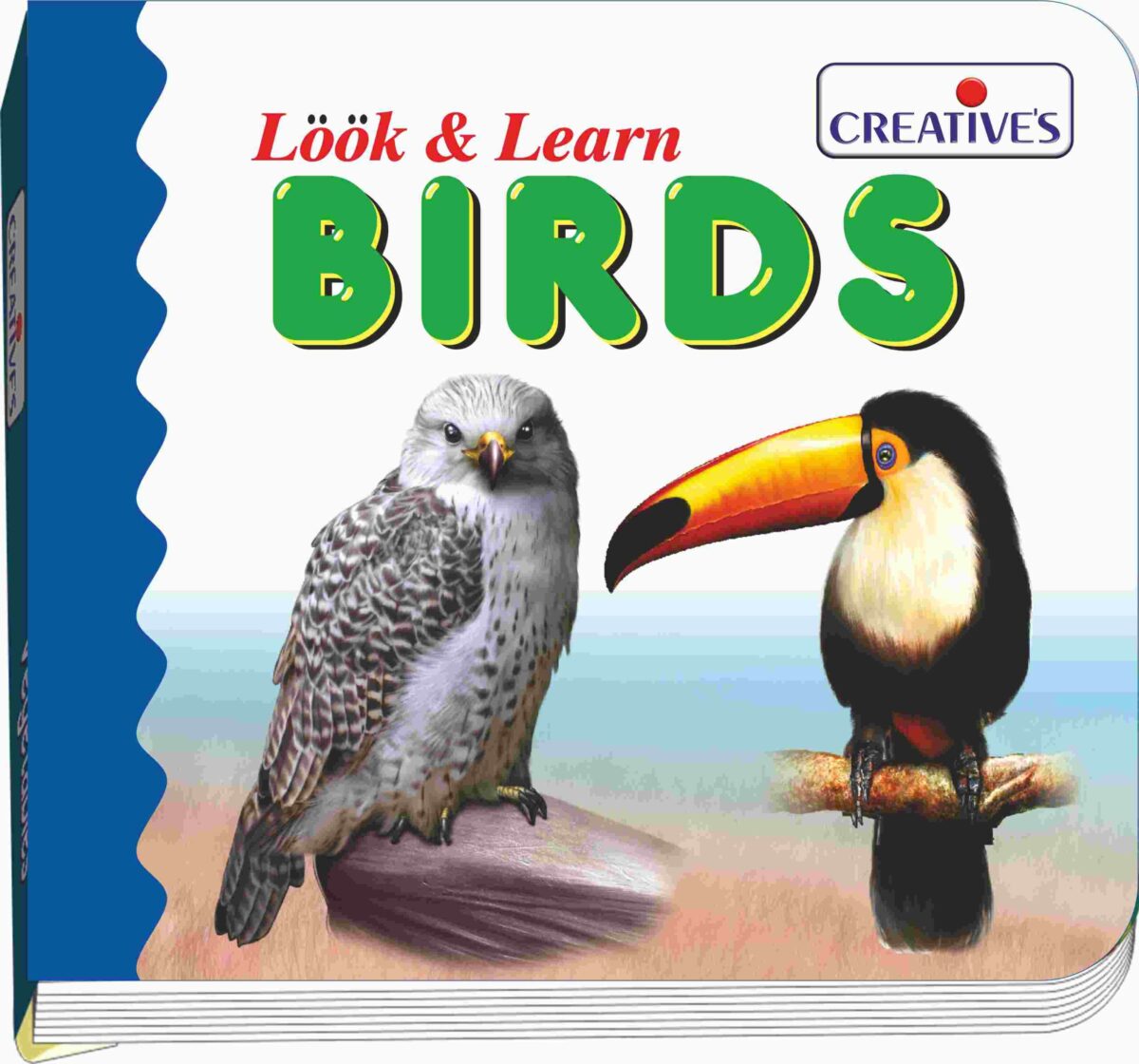 8901870003561-scaled-1 Look & Learn Birds 100Pcs #525