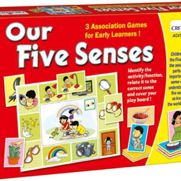 Our Five Senses 3 Association Games For Early Learners! #0264