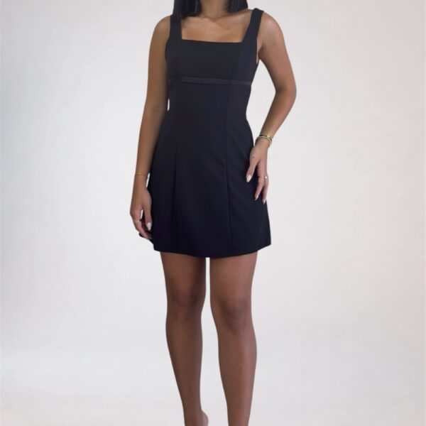 Raven dress