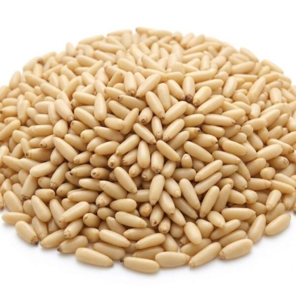 Pine Seeds