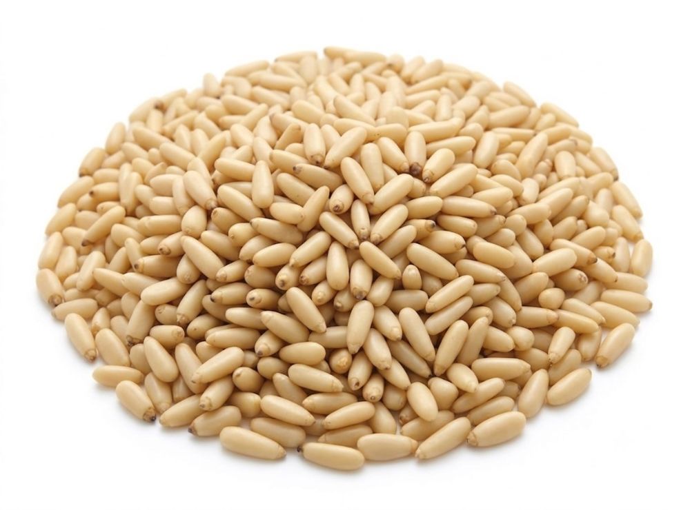 91 Pine Seeds - Image 1