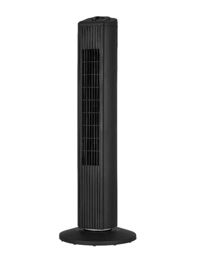 IMG-4968 Campomatic TF28 Fan