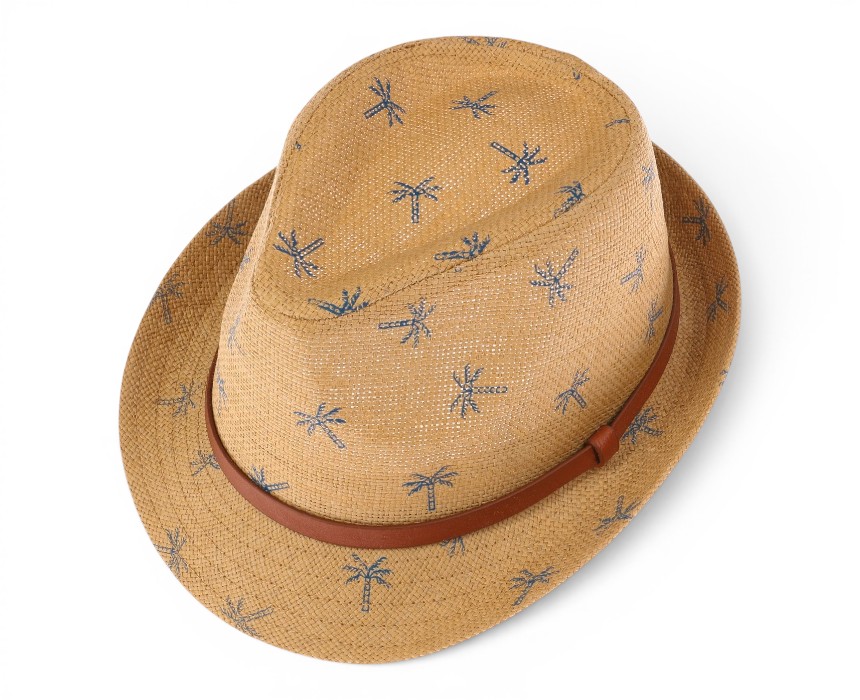 IMG_8956 Palm Print Straw Fedora Kids Summer Hat - Image 1