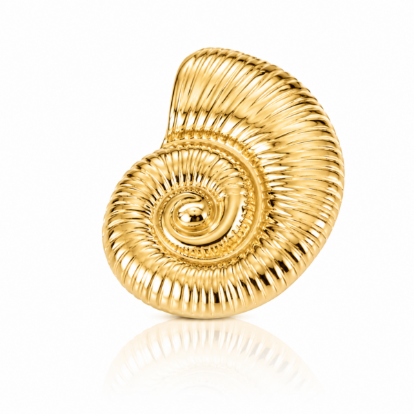 Secret Shell Brooch