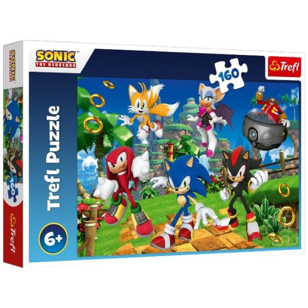 Sonic the Hedgehog puzzle
