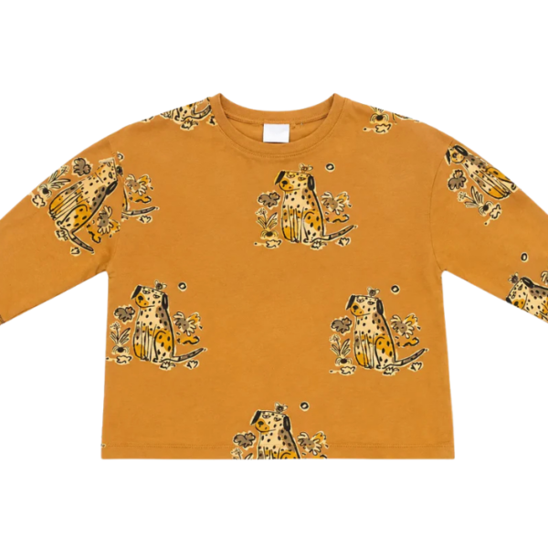 Zara Boys Sand With Dong Printed Long Sleeve Blouse