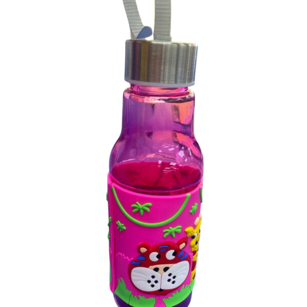 Water Bottle (Assorted)