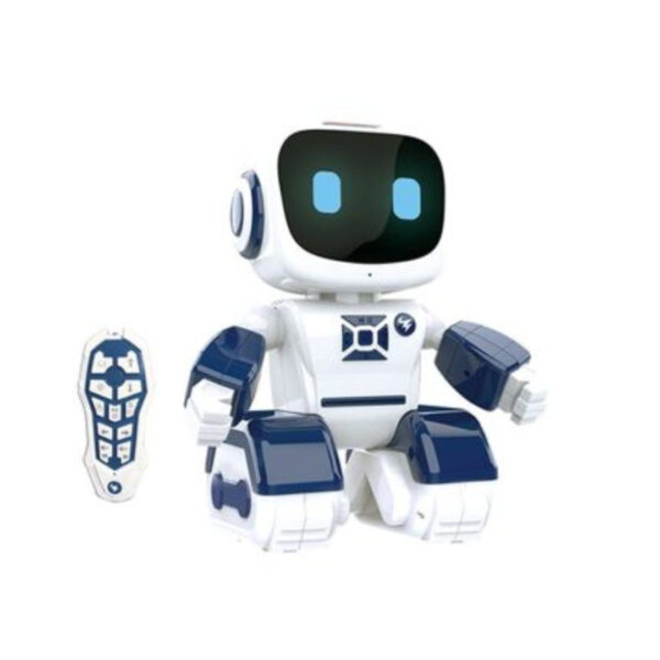 Programmable Remote Control Robot Toy