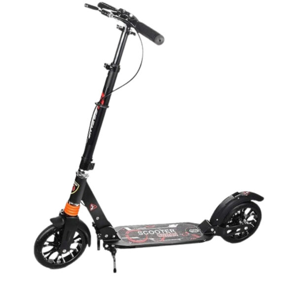 Adult Scooter (Assorted)