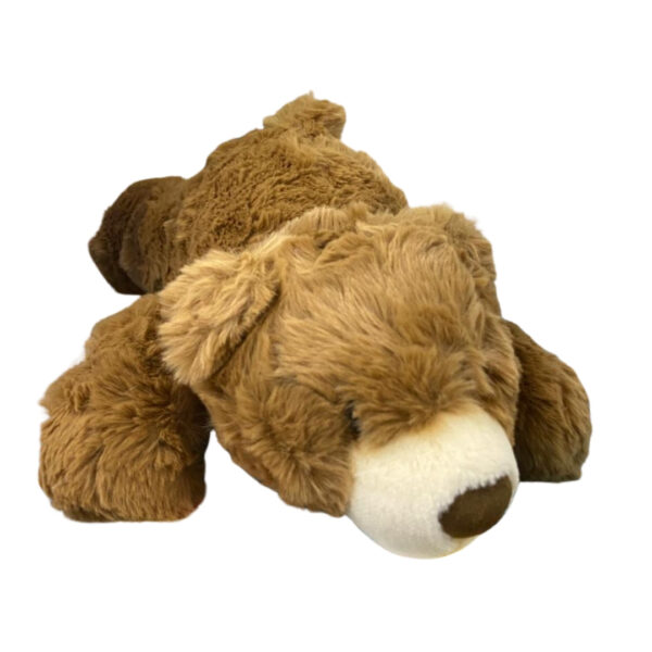 Bear Plush Toy