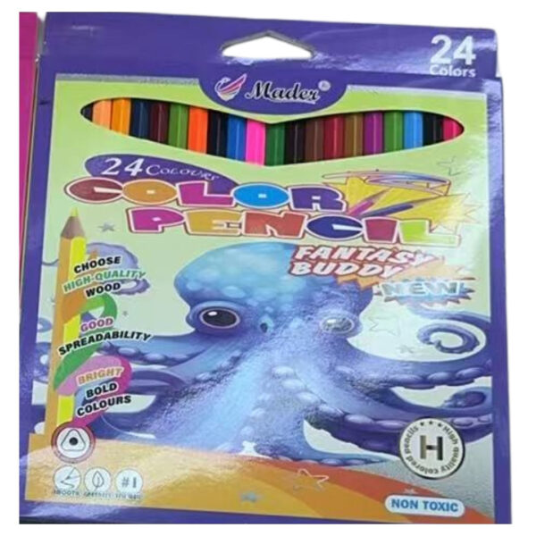 24 Colored Pencils Set (Assorted Designs)