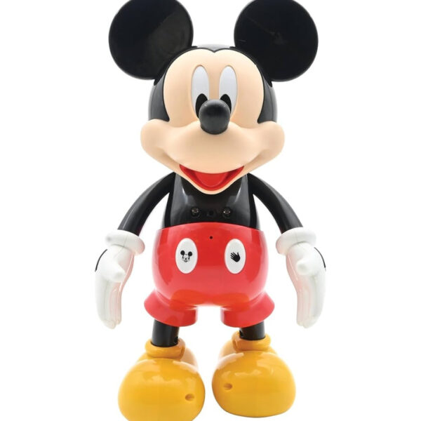 Mickey Educational Robot