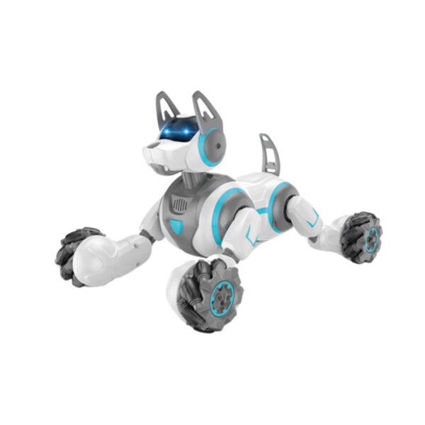 RC Stunt Robot Dog (Assorted)