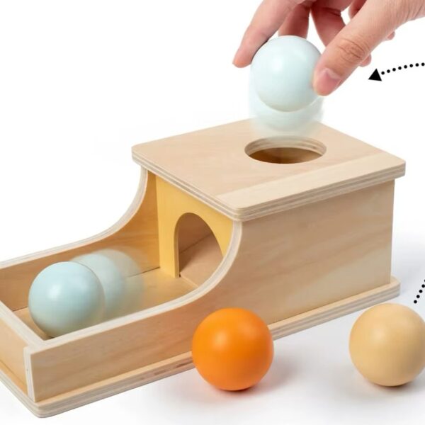 Montessori Learning Box Set