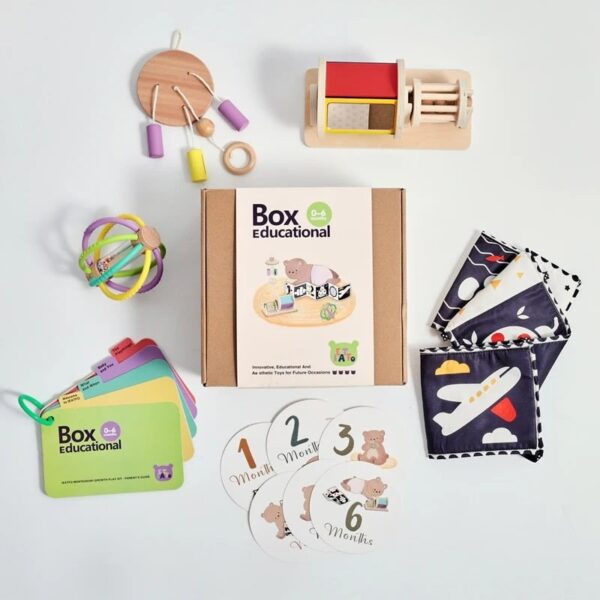 Newborn Montessori Education Set