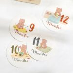 Toddler Montessori Education Set - Image 