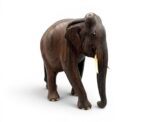 Hand-Carved Solid Wood Elephant Sculpture - Image 
