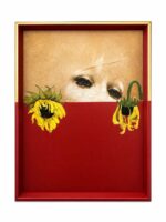 Modern Classic Painting Trio | Set of 3 - Image 