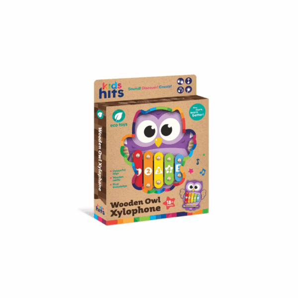 Wooden Owl Xylophone Toy