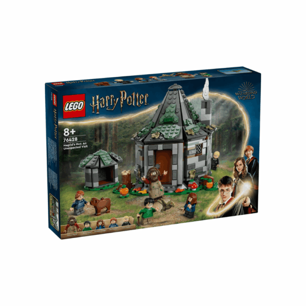 Hagrid's Hut An Unexpected Visit