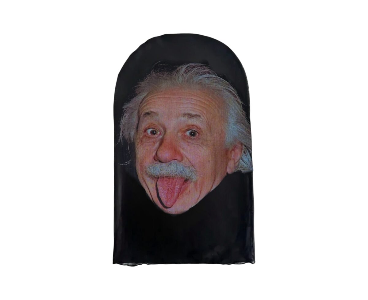 Einstein Skin - Image 1