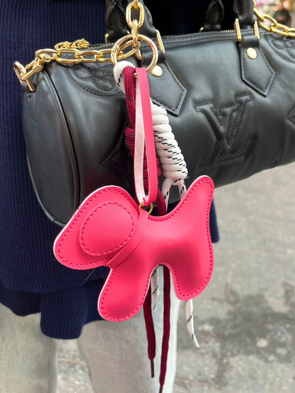 1001080939 A. Bag Charms: Fushia Puppy
