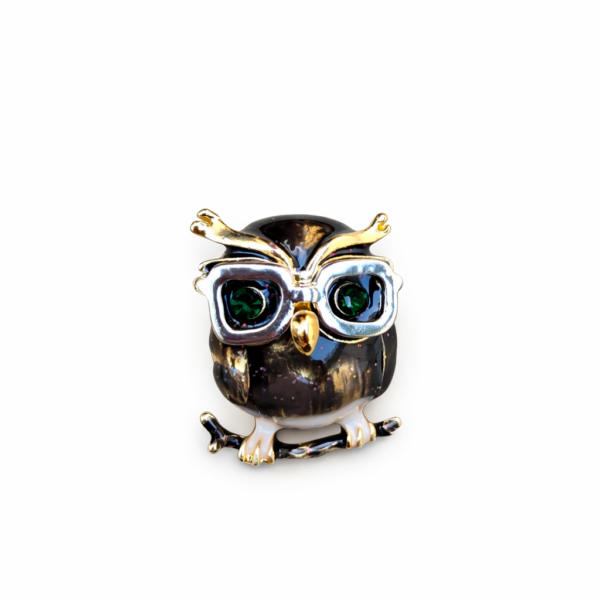A. Cool Owl Broche