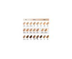 Full Coverage Foundation Rimmel - Image 