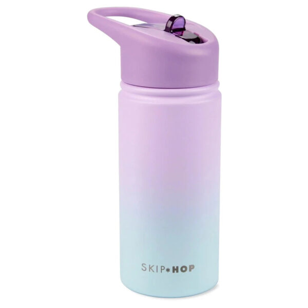 Wander Stainless Steel Straw Bottle Treats