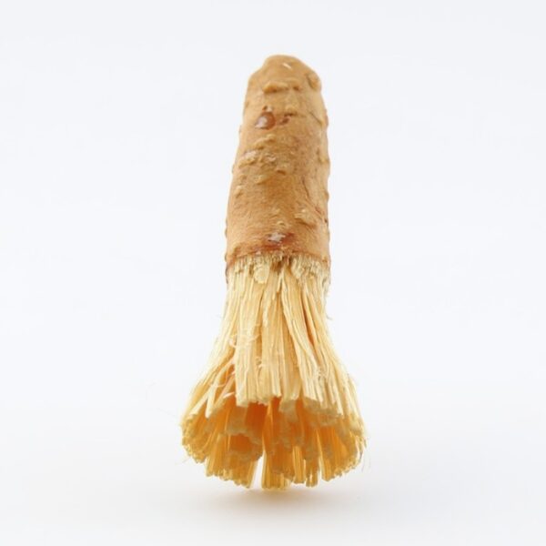 Natural Miswak Toothbrush – Pack of 2