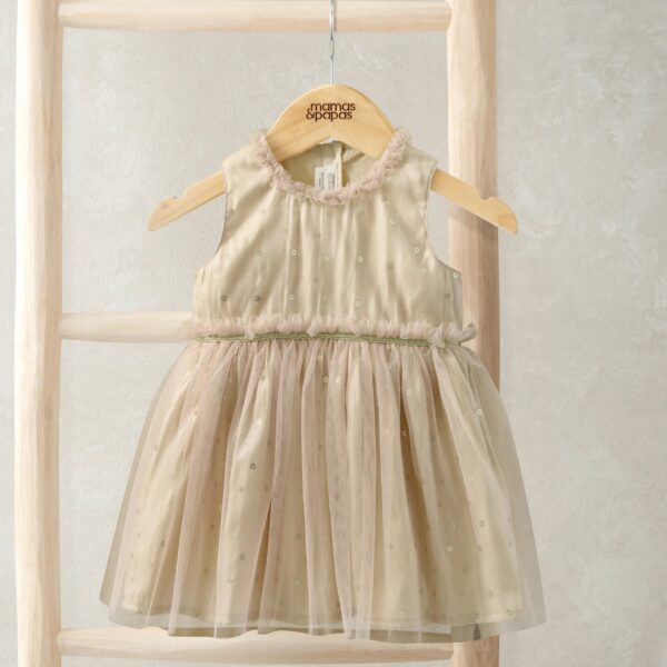 Gold Mesh Dress