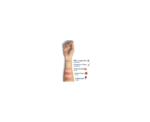 Blush Contour Highlighter Creamy Stick Profite - Image 