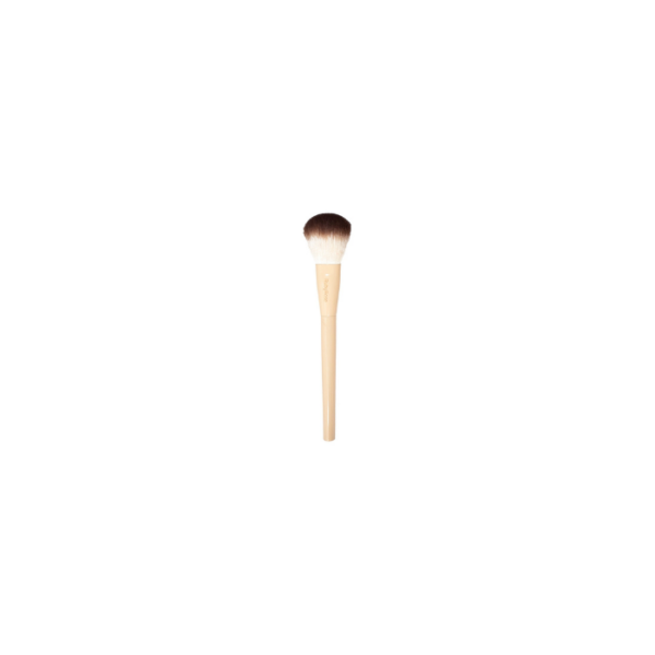 Glass Blush Brush Ruby Rose