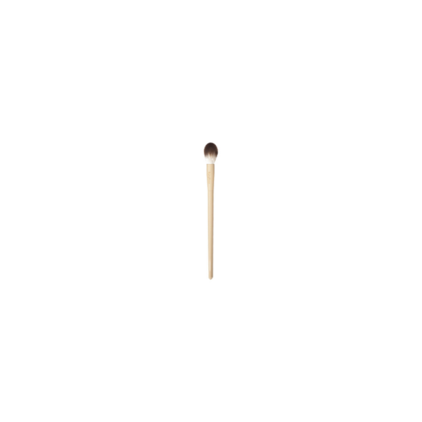 Glass Illuminator Brush Ruby Rose