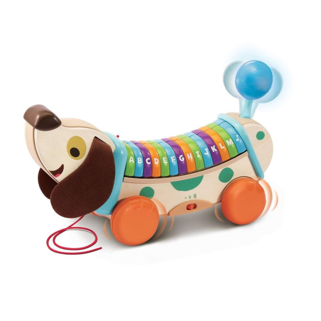 619jiLNOwkL._AC_SL1152_6f7e5c9a-7e85-4621-98b7-e6fc145bd97e My Interactive ABC Dog Fr