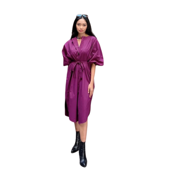Plum Chemise Dress