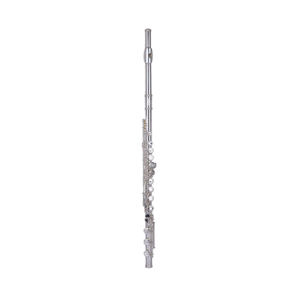 Wisemann DFL-600SSH Flute