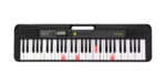 Casio LK-S250 - 61 Keys Portable Piano - Image 