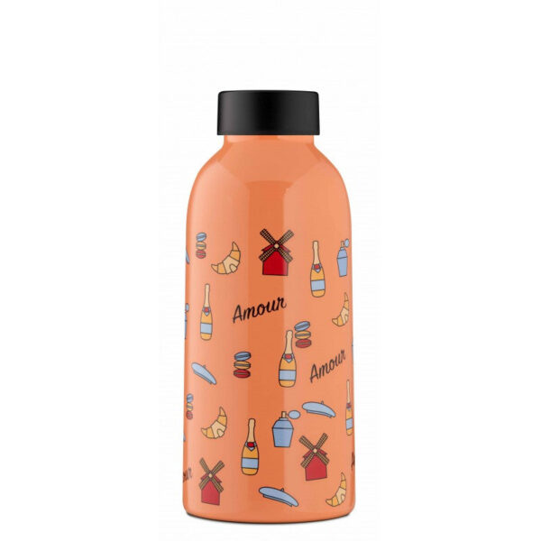 Insulated Stainless Steel Bottle 470ml - Paris